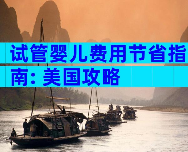 试管婴儿费用节省指南: 美国攻略
